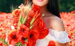 小泽玛利亚 qvod